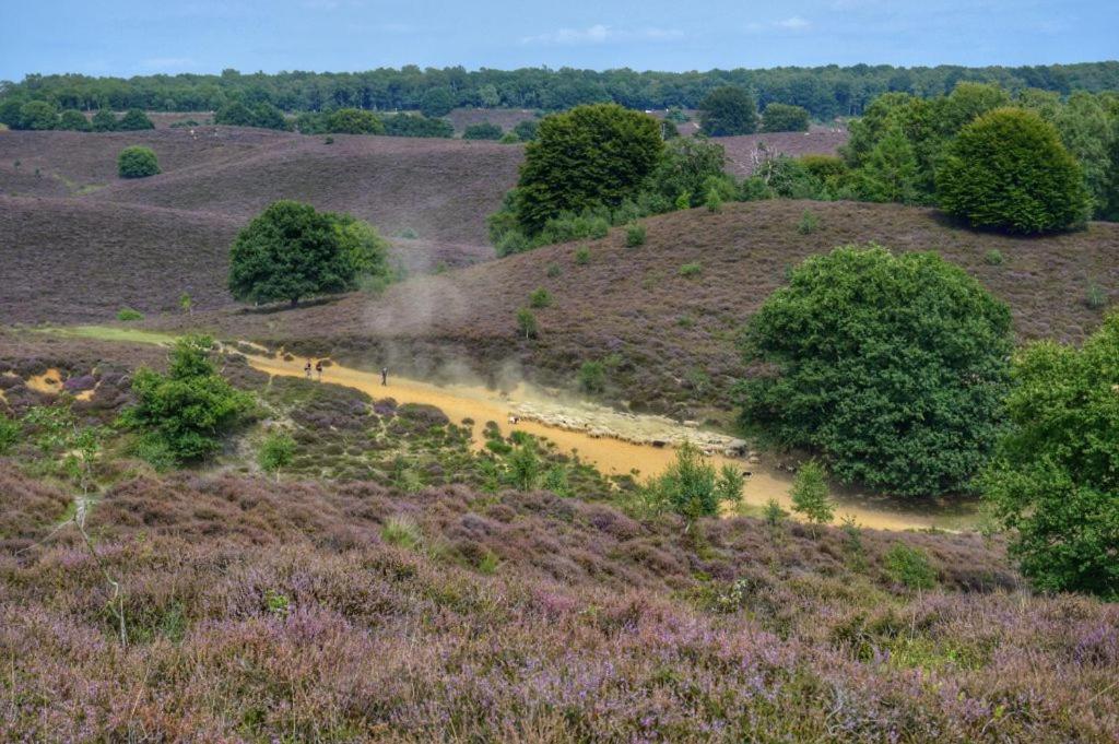 Herberg De Zwaan エルスペート エクステリア 写真